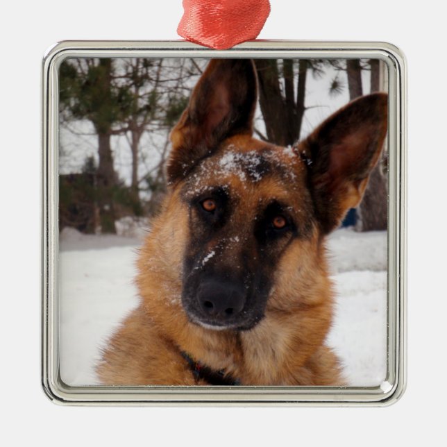 German Shepherd Holiday Ornament (Front)