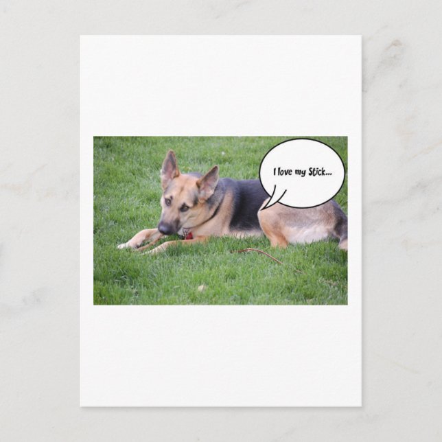 German shepherd Humour Postcard (Front)