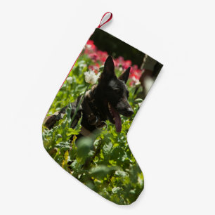 German Shepherd in a Field Small Christmas Stocking