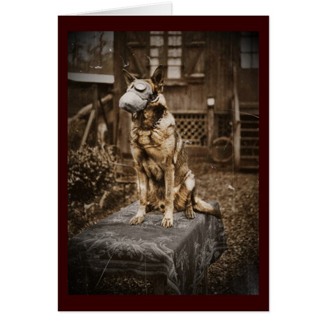 German Shepherd in Gas Mask (Front)
