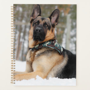 German Shepherd In Snow Planner