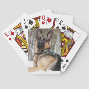 German Shepherd In Snow Playing Cards