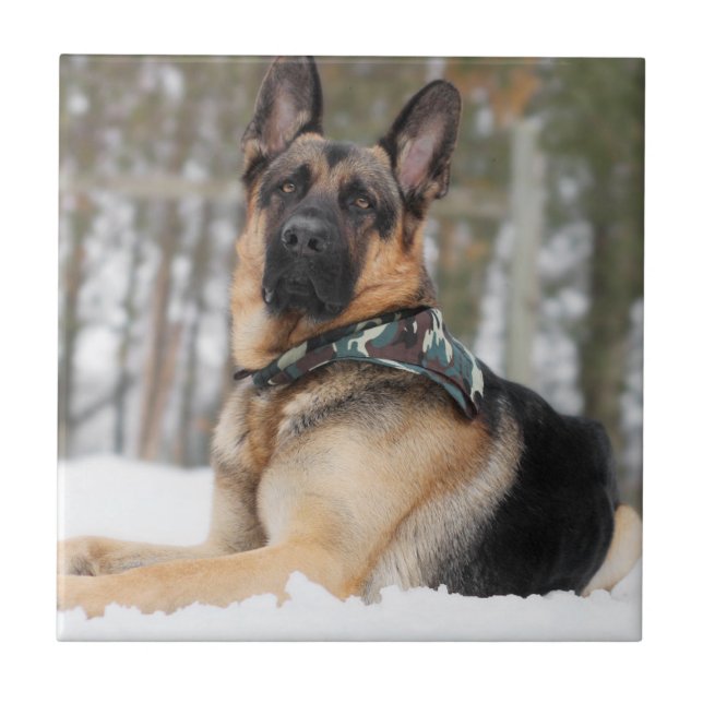 German Shepherd In Snow Tile (Front)