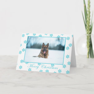 German shepherd in the snow christmas card. card