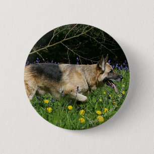 German Shepherd in Yellow Flowers 6 Cm Round Badge