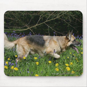German Shepherd in Yellow Flowers Mouse Mat