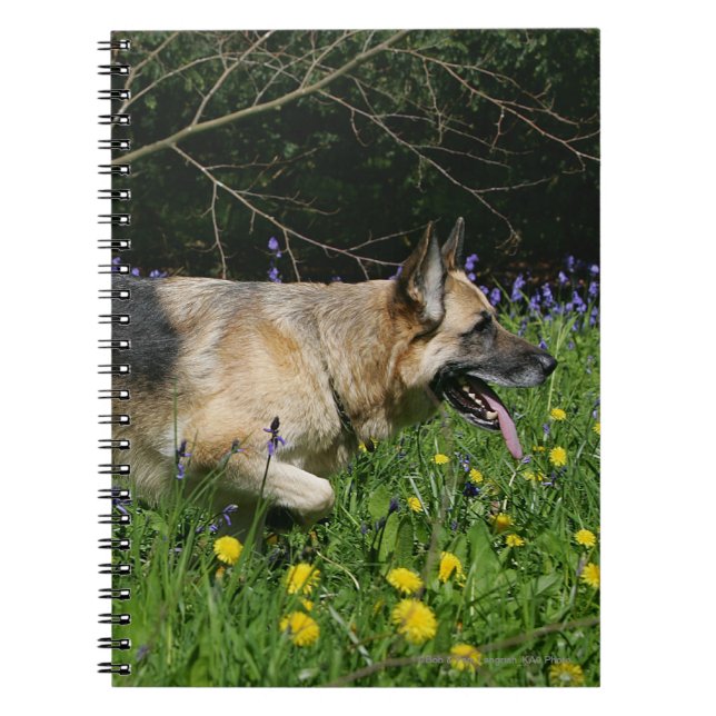 German Shepherd in Yellow Flowers Notebook (Front)