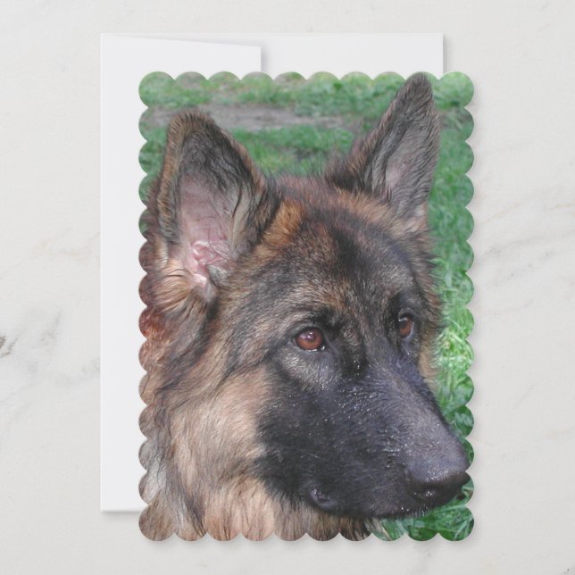 German Shepherd Invitation (Front)