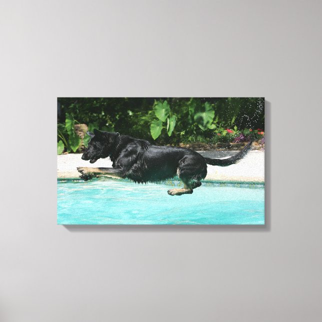 German Shepherd Jumping in Water Canvas Print (Front)