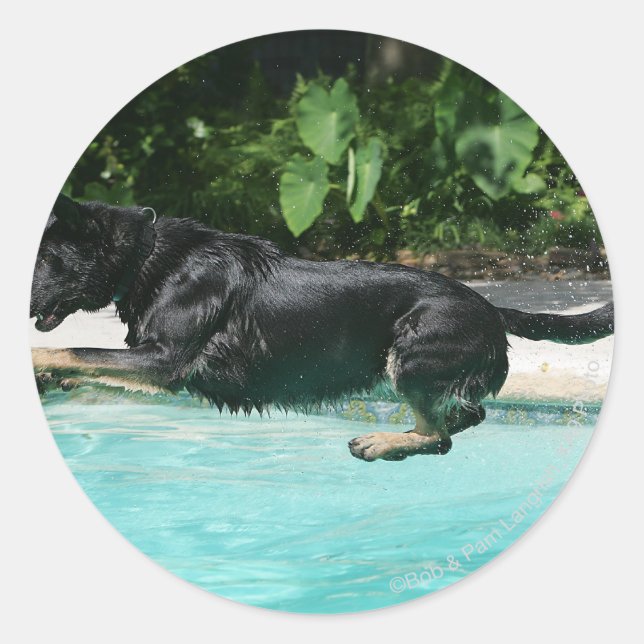 German Shepherd Jumping in Water Classic Round Sticker (Front)