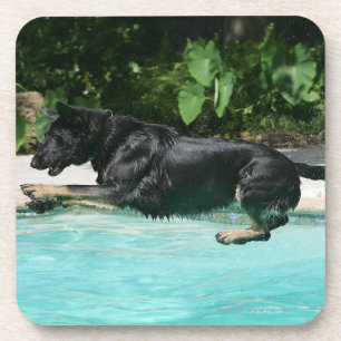 German Shepherd Jumping in Water Coaster