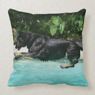 German Shepherd Jumping in Water Cushion