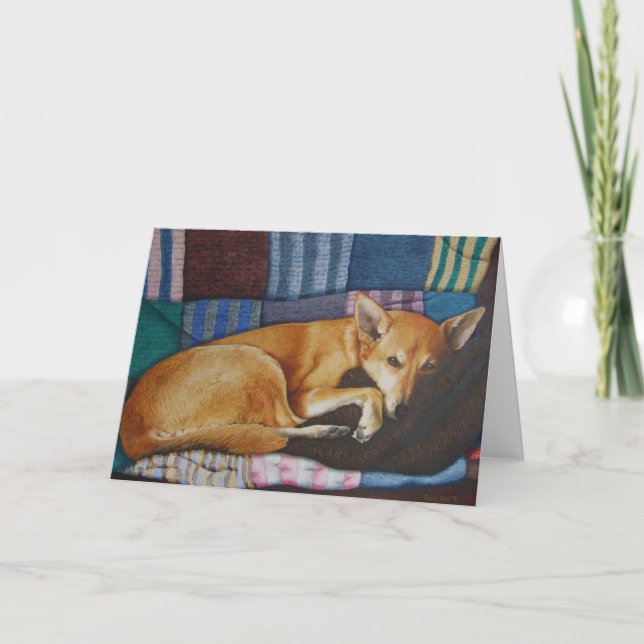 german shepherd labrador cross breed dog portraits card (Front)