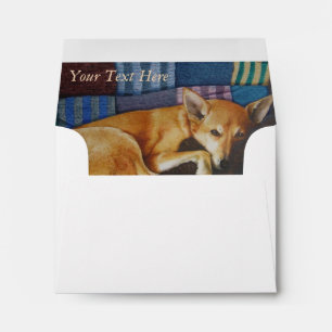 german shepherd labrador mixed breed dog envelopes
