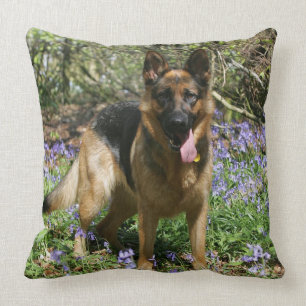 German Shepherd Laying Down Cushion