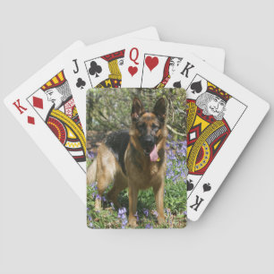 German Shepherd Laying Down Playing Cards