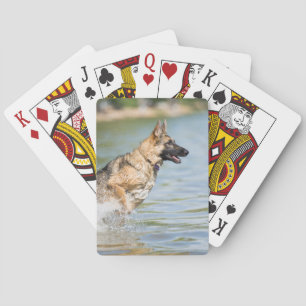 German Shepherd Leaps Into Water Playing Cards