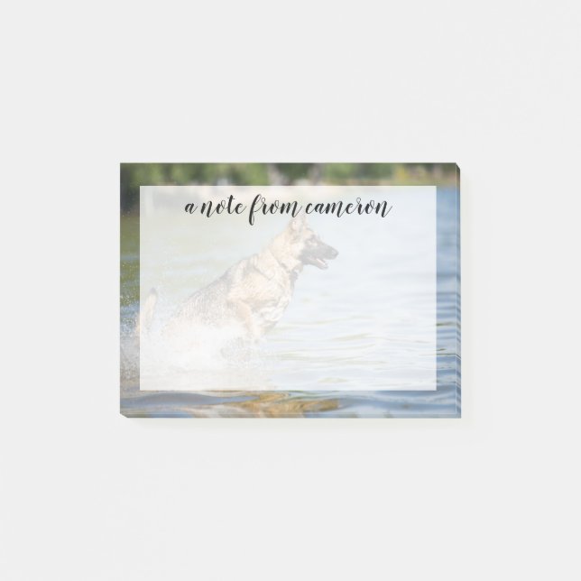German Shepherd Leaps Into Water Post-it Notes (Front)