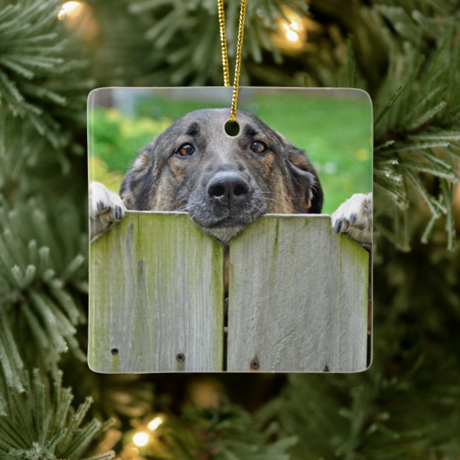 German Shepherd Looking Over Fence Ceramic Ornament (Tree)