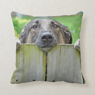 German Shepherd Looking Over Fence Cushion