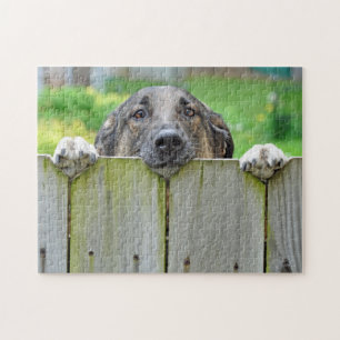 German Shepherd Looking Over Fence Jigsaw Puzzle
