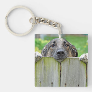 German Shepherd Looking Over Fence Key Ring