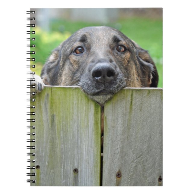 German Shepherd Looking Over Fence Notebook (Front)