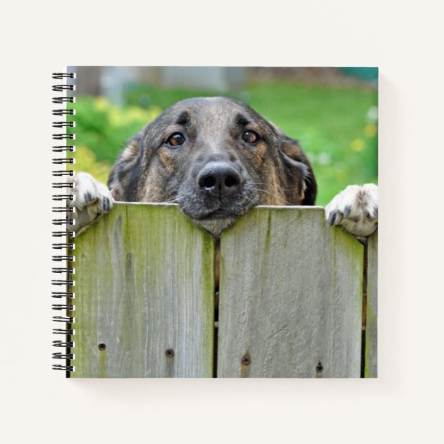 German Shepherd Looking Over Fence Notebook (Front)
