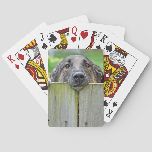 German Shepherd Looking Over Fence Playing Cards (Back)