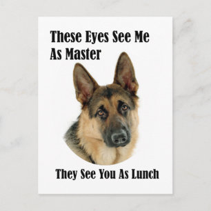 German Shepherd Master Postcard