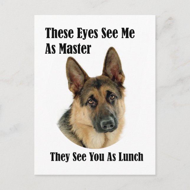 German Shepherd Master Postcard (Front)
