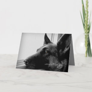 German Shepherd Missing You Greeting Card