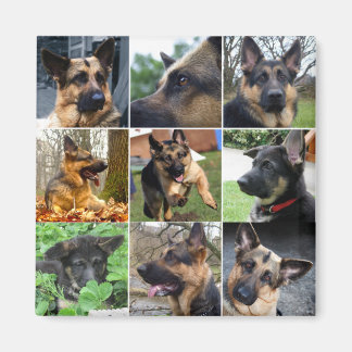 German Shepherd Mosaic Magnet