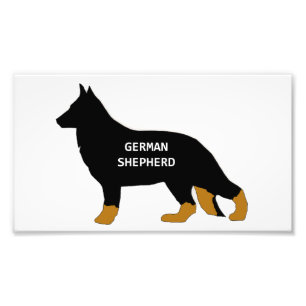 German Shepherd name silo bi colour Photo Print