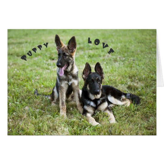 German Shepherd Note Card