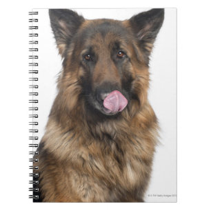 German Shepherd Notebook