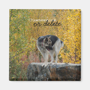 German Shepherd on a Rock; Customisable Magnet
