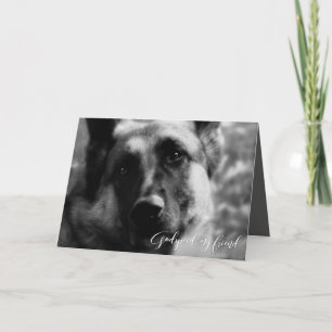 German Shepherd Pet Loss Sympathy Card