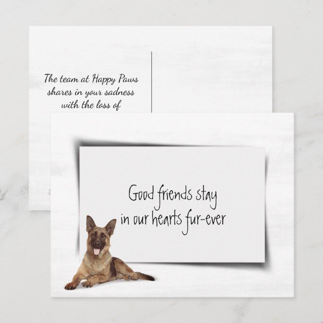 German Shepherd Pet Sympathy Loss Postcard (Front/Back)