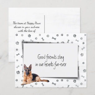 German Shepherd Pet Sympathy Loss Postcard