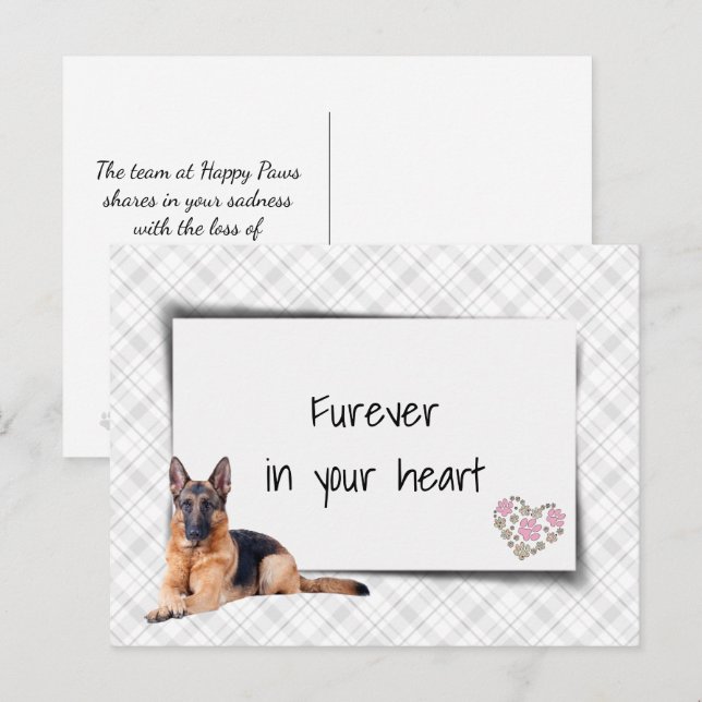 German Shepherd Pet Sympathy Loss Postcard (Front/Back)