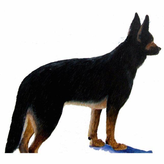 German Shepherd Photo Sculpture (Front)
