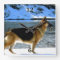 German Shepherd Photo Wall Clock