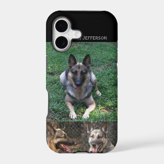 German Shepherd: Picture Collage