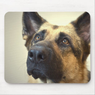 German Shepherd Picture Mouse Pad
