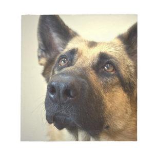 German Shepherd Picture  Notepad