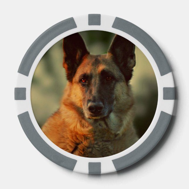 German Shepherd Poker Chips (Front)