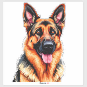 German Shepherd Portrait