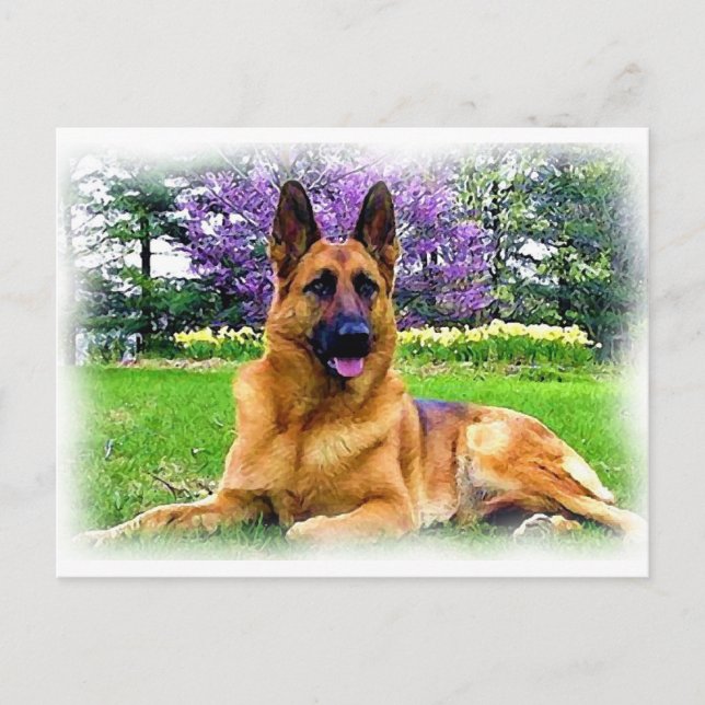 German Shepherd Postcard (Front)