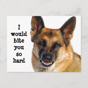 German Shepherd Postcard